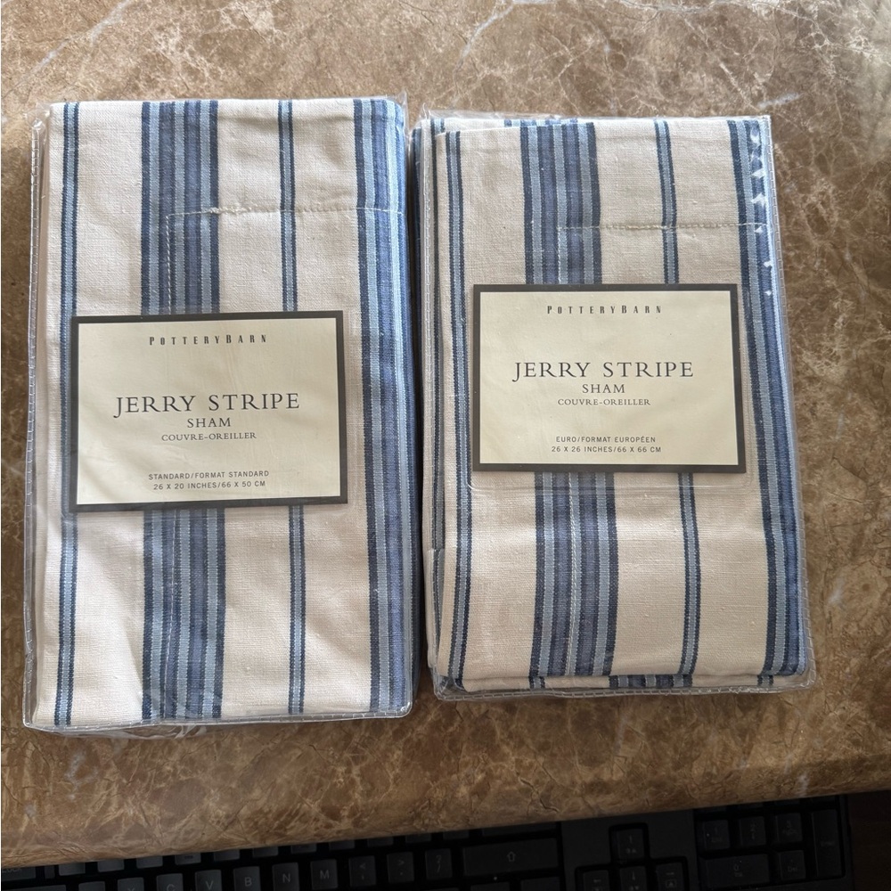 Pottery Barn Jerry Stripe Sham - Blue and White
